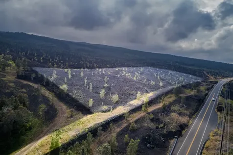 Captain Cook HI 96704