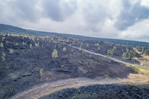 Captain Cook HI 96704