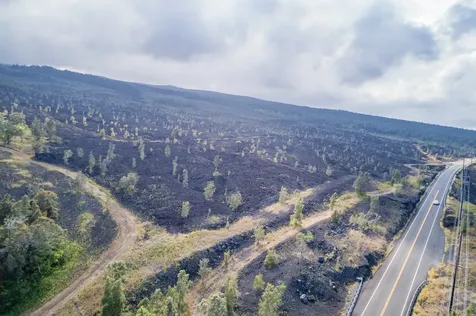 Captain Cook HI 96704