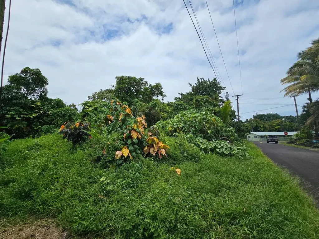 Palani Street Pahoa HI 96778