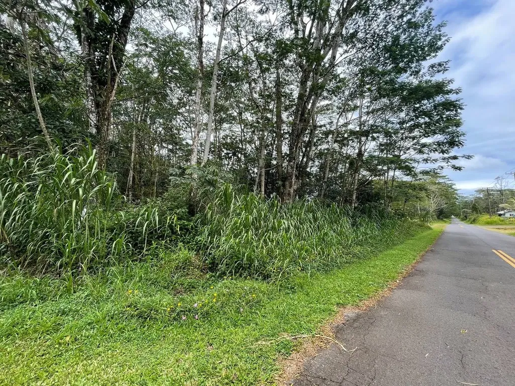 Church Circle Pahoa HI 96778