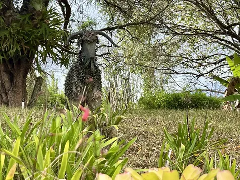 64-5221 Iokua Place Kamuela HI 96743