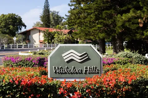 68-3907 Paniolo Avenue Waikoloa HI 96738