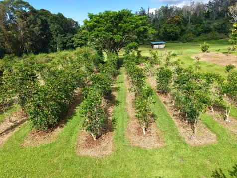 78-1392 Bishop Road Holualoa HI 96725