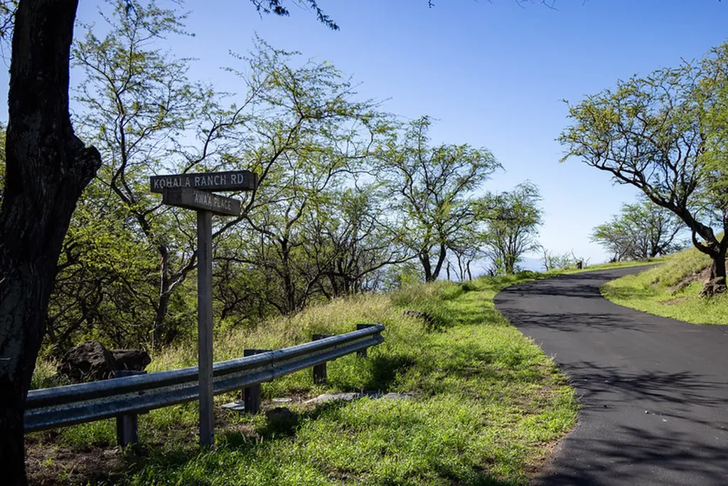 59-584 Awaa Place Kamuela HI 96743