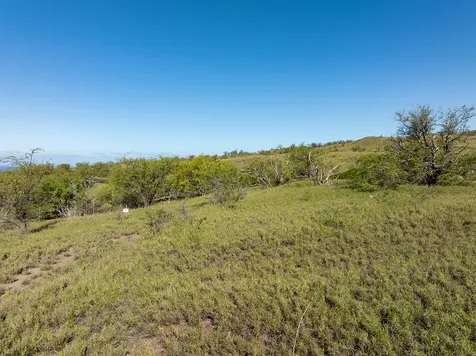 59-584 Awaa Place Kamuela HI 96743