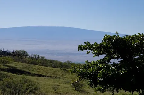 59-584 Awaa Place Kamuela HI 96743