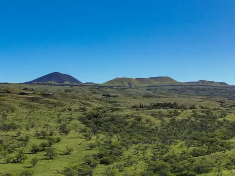 59-584 Awaa Place Kamuela HI 96743