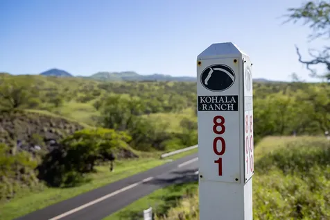 59-584 Awaa Place Kamuela HI 96743