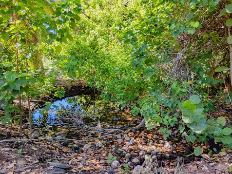 69-1819 Puako Beach Drive Kamuela HI 96743