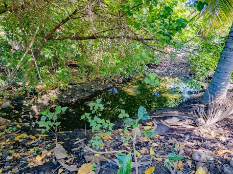 69-1819 Puako Beach Drive Kamuela HI 96743