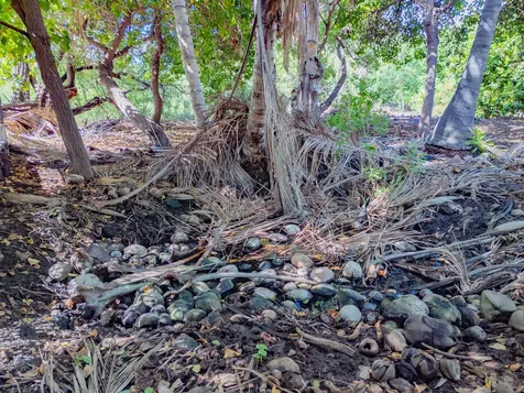 69-1819 Puako Beach Drive Kamuela HI 96743