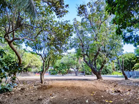 69-1819 Puako Beach Drive Kamuela HI 96743