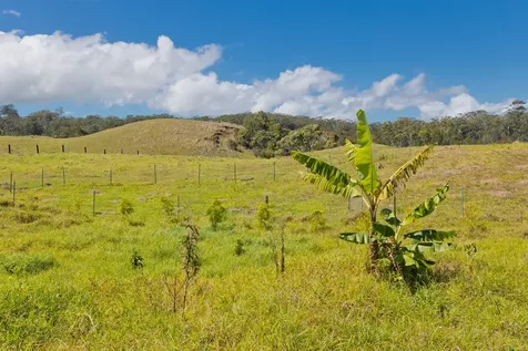 46-3715 Puaono Road Honokaa HI 96727