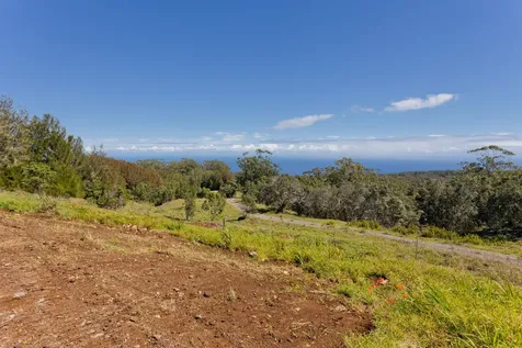 46-3715 Puaono Road Honokaa HI 96727