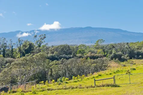 46-3715 Puaono Road Honokaa HI 96727