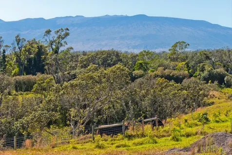 46-3715 Puaono Road Honokaa HI 96727