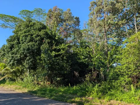 8TH Avenue Keaau HI 96749