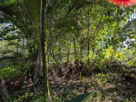 8TH Avenue Keaau HI 96749