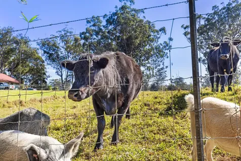 46-4053 Kahana Drive Honokaa HI 96727