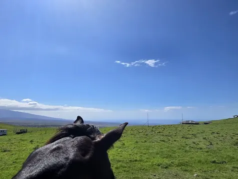 67-1148 Wainoenoe Road Kamuela HI 96743