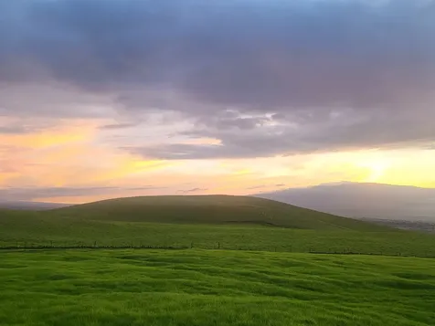 67-1148 Wainoenoe Road Kamuela HI 96743