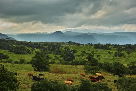 47-5343 Waikoekoe Lane Honokaa HI 96727