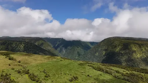 47-5343 Waikoekoe Lane Honokaa HI 96727