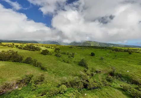 47-5343 Waikoekoe Lane Honokaa HI 96727