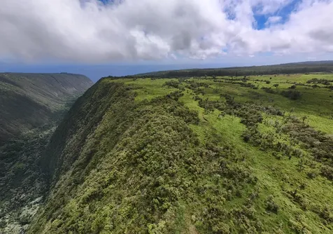 47-5343 Waikoekoe Lane Honokaa HI 96727