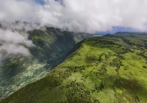 47-5343 Waikoekoe Lane Honokaa HI 96727