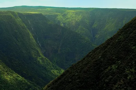 47-5343 Waikoekoe Lane Honokaa HI 96727