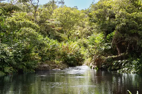 47-5343 Waikoekoe Lane Honokaa HI 96727