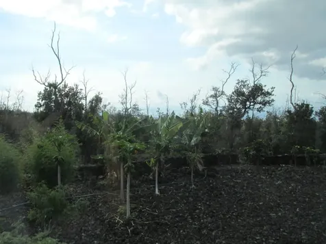 92-8522 Trade Wind Boulevard Ocean View HI 96737