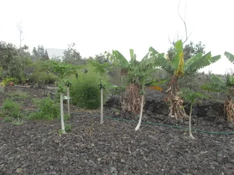 92-8522 Trade Wind Boulevard Ocean View HI 96737