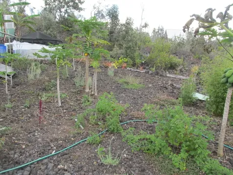 92-8522 Trade Wind Boulevard Ocean View HI 96737