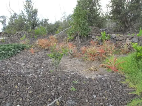 92-8522 Trade Wind Boulevard Ocean View HI 96737