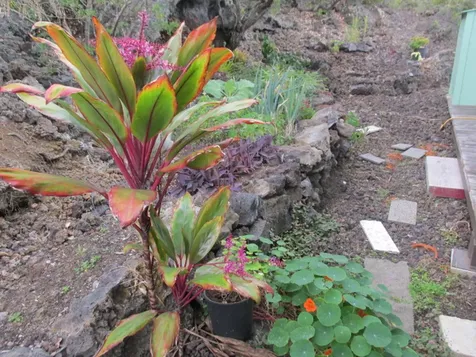 92-8522 Trade Wind Boulevard Ocean View HI 96737