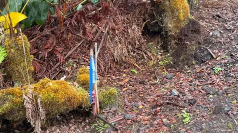 19-4113 Kalani Honua Loop Volcano HI 96785