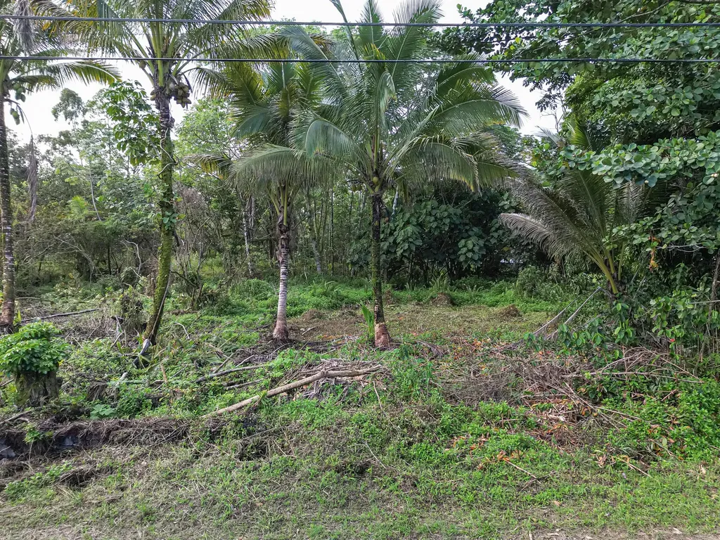 10TH Avenue Keaau HI 96749