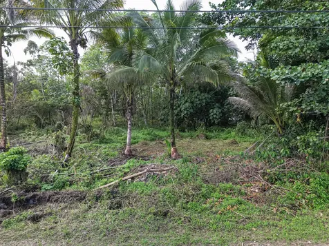 10TH Avenue Keaau HI 96749