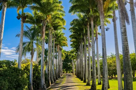 34-144 Kaihuiki Road Papaaloa HI 96780