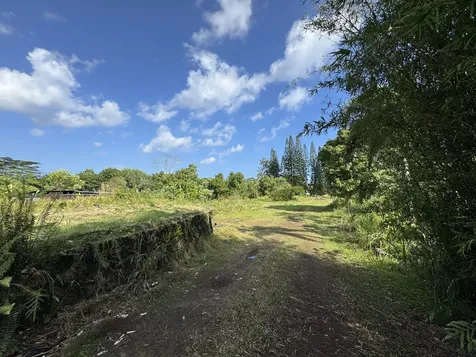 15-1391 18th Avenue Keaau HI 96749