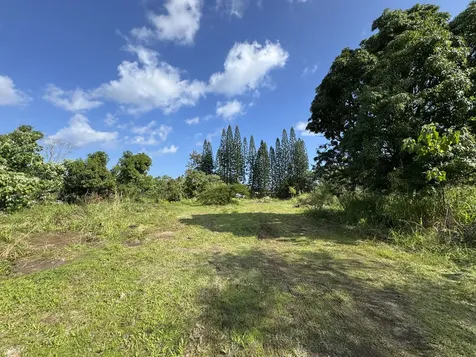 15-1391 18th Avenue Keaau HI 96749