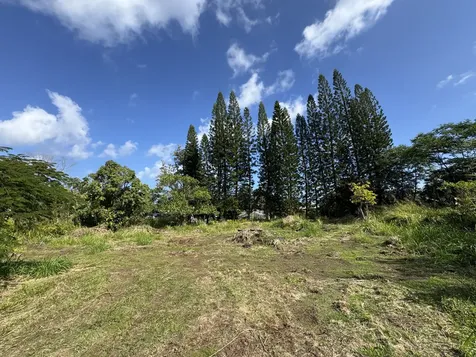 15-1391 18th Avenue Keaau HI 96749