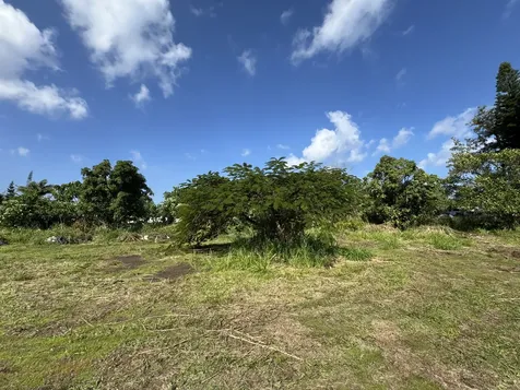 15-1391 18th Avenue Keaau HI 96749