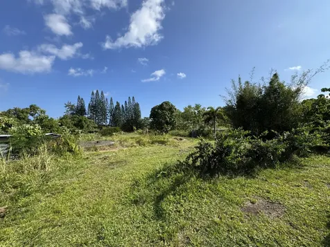 15-1391 18th Avenue Keaau HI 96749