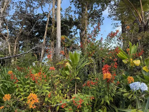 11-3772-A Alaohia Street Volcano HI 96785