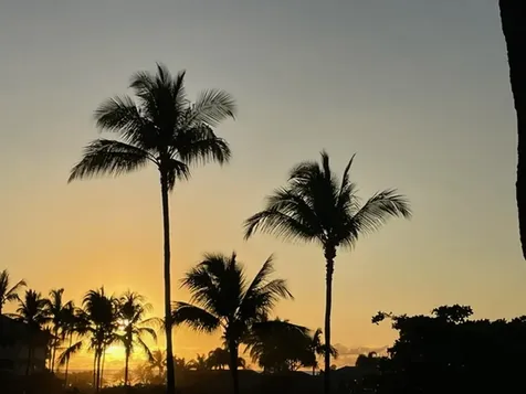 69-1010 Keana Place Waikoloa HI 96738