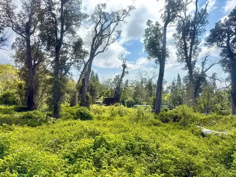 92-2073 Kailua Boulevard Captain Cook HI 96737